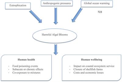 Marine Biotoxins: Occurrence, Toxicity, Regulatory Limits and Reference Methods